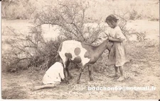 USA - California - Warm meals at all hours - Repas chauds à toute heure goat