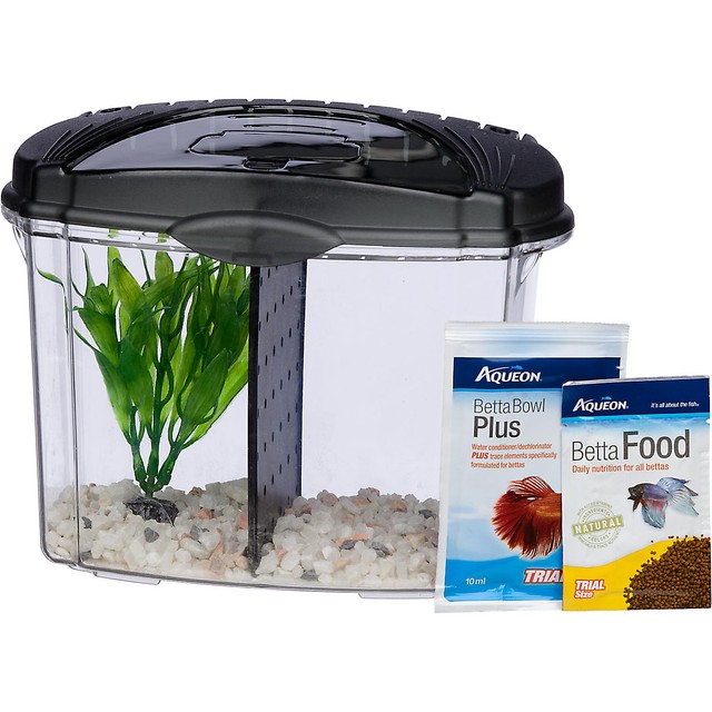 mini bow 5 gallon fish tank