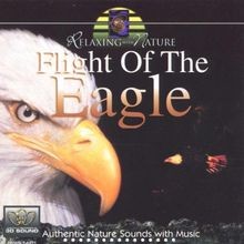 Flight of the Eagle von John St. John | CD | Zustand sehr gut