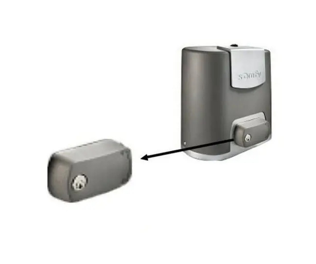 Somfy 1782546 Kit Sblocco Manuale Elixo 500 con 2 Chiavi Originali