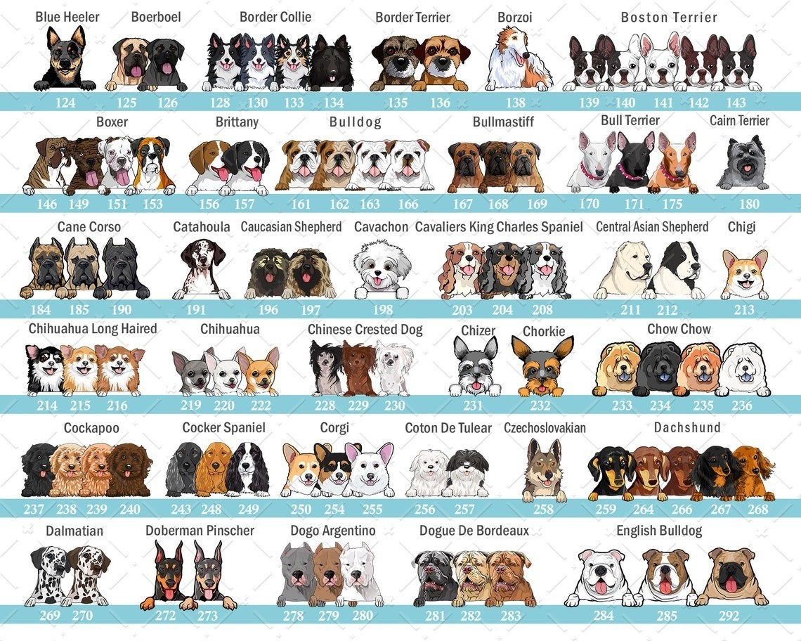 Welcome To Our Home Custom Dog Cat Name Doormat Rug Personalized Floor Mats