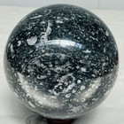 Natural Insectconch fossil crystal Ball Quartz Crystal Sphere Reiki Healing2340G — photo 2