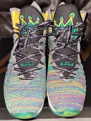 Nike Lebron XVII LJFF Size 15 Men's Used With Original Boxes.  CD5052 300.