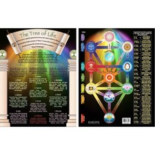 Tree of Life Information Chart!