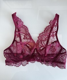 Lise Charmel Sublime en Dentelle Embroidered Tulle Triangle Bra Size 34B