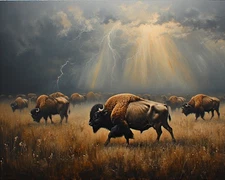 Bison Buffalo thunderstorm plains  8x10" Old West Landscape Art Matte Print b