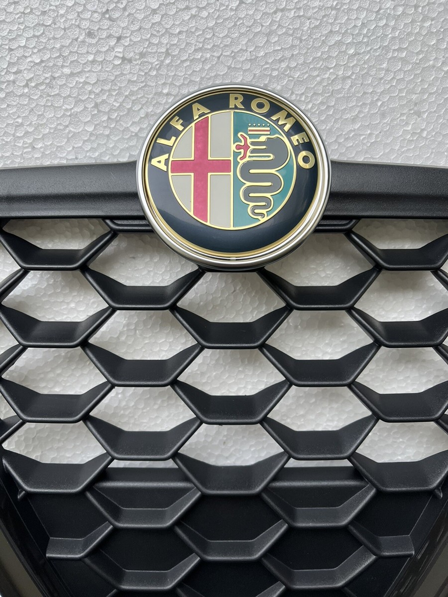Black Honeycomb Grill/Shield For My 2016 B-TECH Juliet Restyling – Front Position