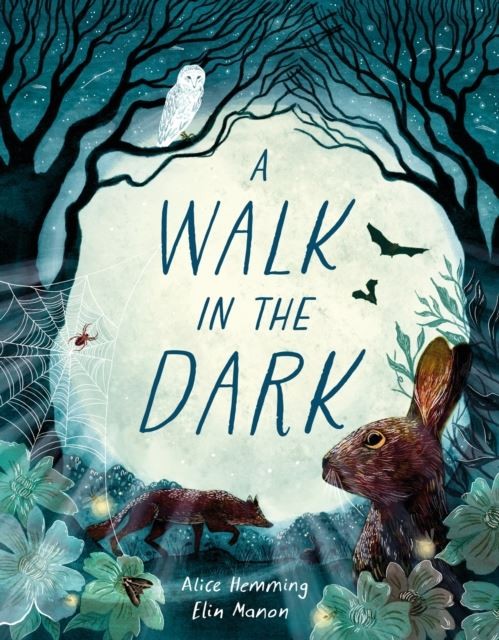 A Walk in the Dark by Alice Hemming Hardback