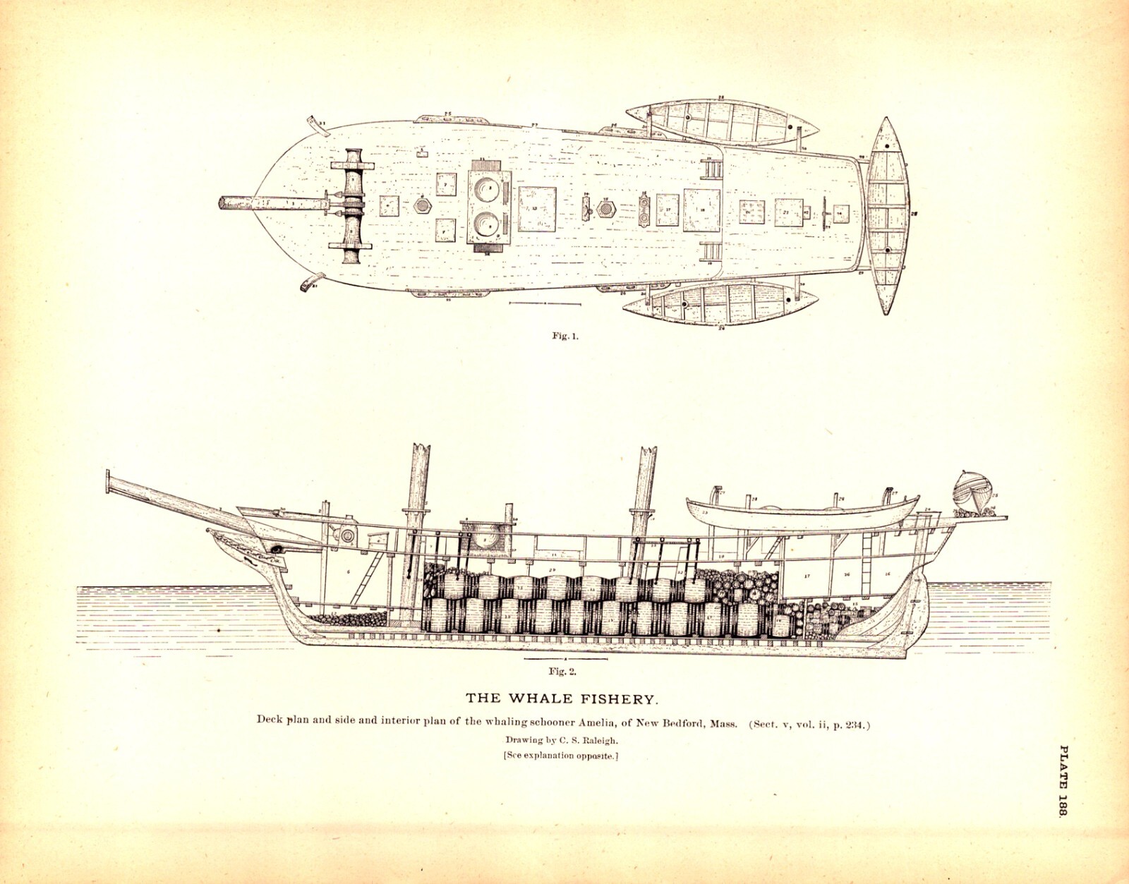DECK PLAN WHALING SCHOONER AMELIA, OF NEW BEDFORD, MASS.  Antique engraving 1887