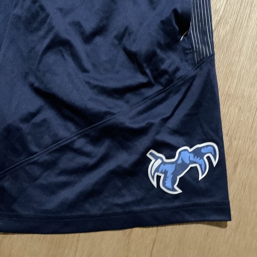 Pantaloncini Nike Gym Dri Fit Athletic Performance Blu con Tasche Uomo Taglia S - Foto 2 di 7