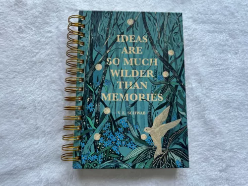 Illumicrate NOTEBOOK The Invisible Life of Addie LaRue by V.E. Schwab Fairyloot