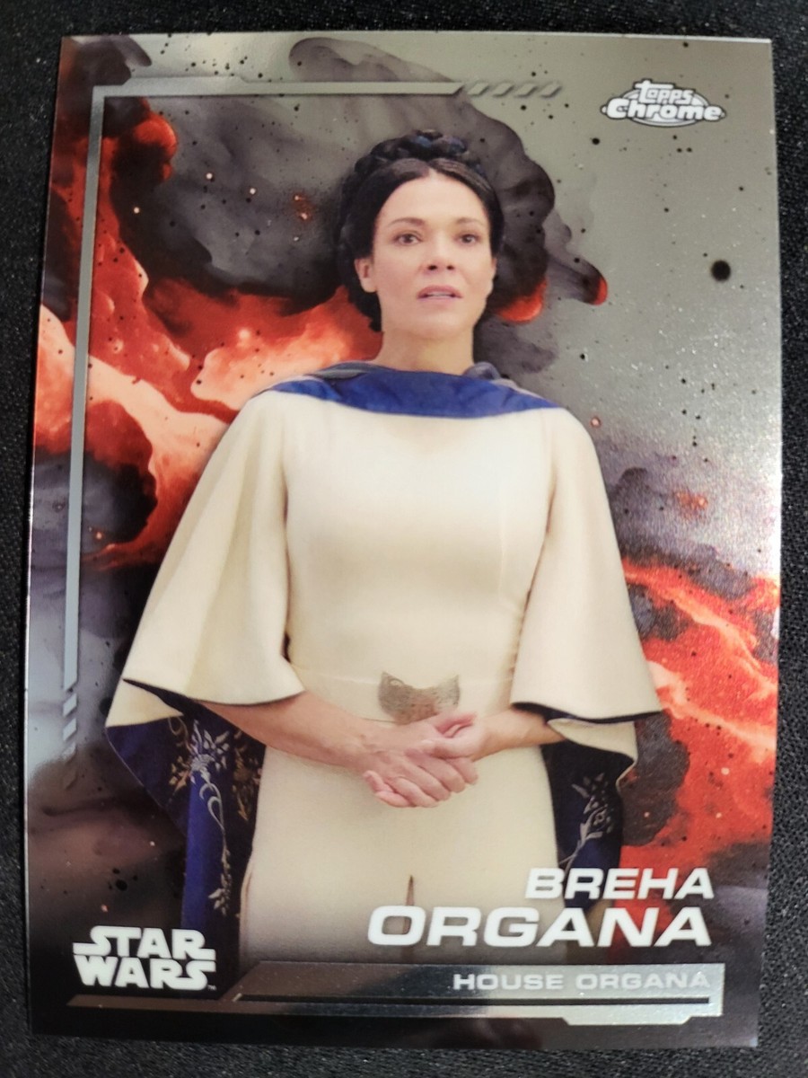 Topps - スケッチカード Topps Star Wars レイア・オーガナ 2023 Topps Star Wars Return of the Jedi #11 Princess Leia
