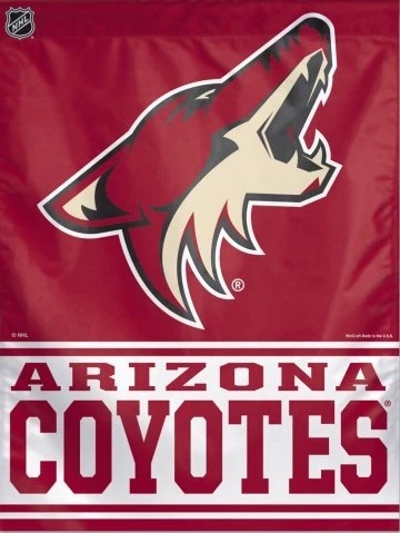 Bandera vertical Arizona Coyotes con licencia NHL 28" x 40" Foto 2 de 3