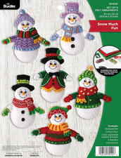 Felt Applique 6 Piece Ornament Making Kit, Snow Much Fun, Perfect for DIY Arts a