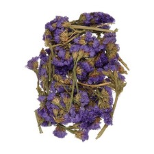 Natural Dried Flower Set, Dried Pressed Flowers Forget-me-not 