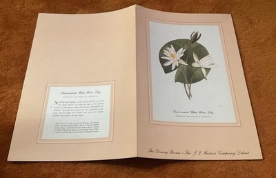 Vtg J L Hudson Department Store 1947 - Pink Dining Room Menu Detroit, MI Nice