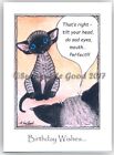Devon Rex Cat art birthday card large comical from painting by Suzanne Le Good