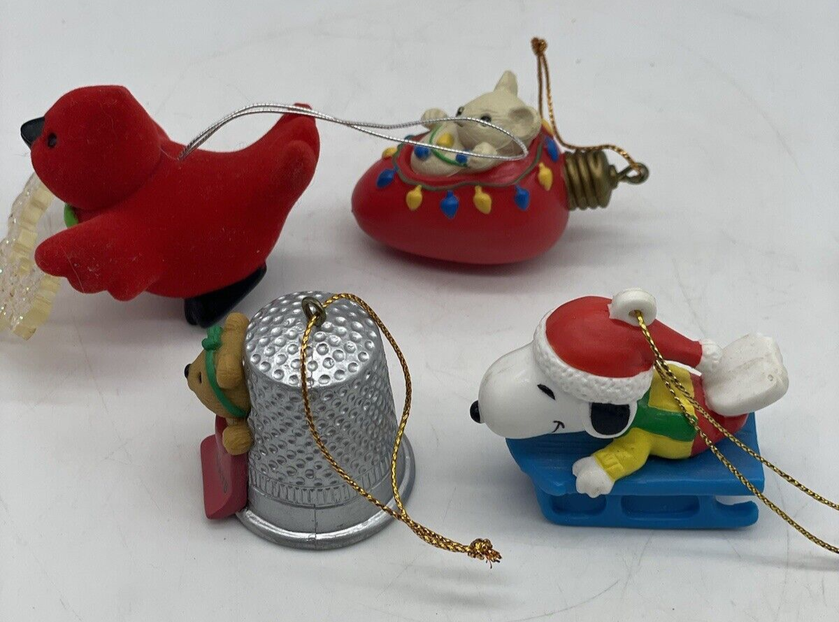 Foto 6 di 12