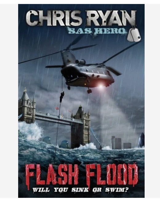 Flash flood by Chris Ryan (Paperback, 2006)
