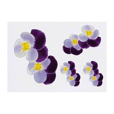 4 x 'Pansies' Temporary Tattoos / Transfers TO00014393 