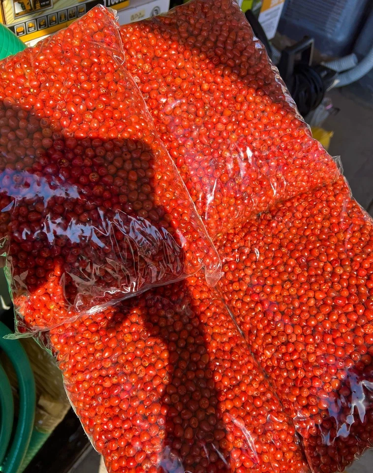 CHILTE FARM Chile Chiltepin Libra Foto 4 de 4