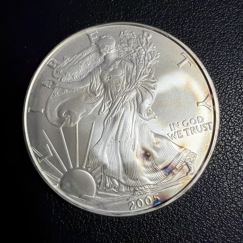 2005 American Silver Eagle Coin 1 oz $1 - Ty268