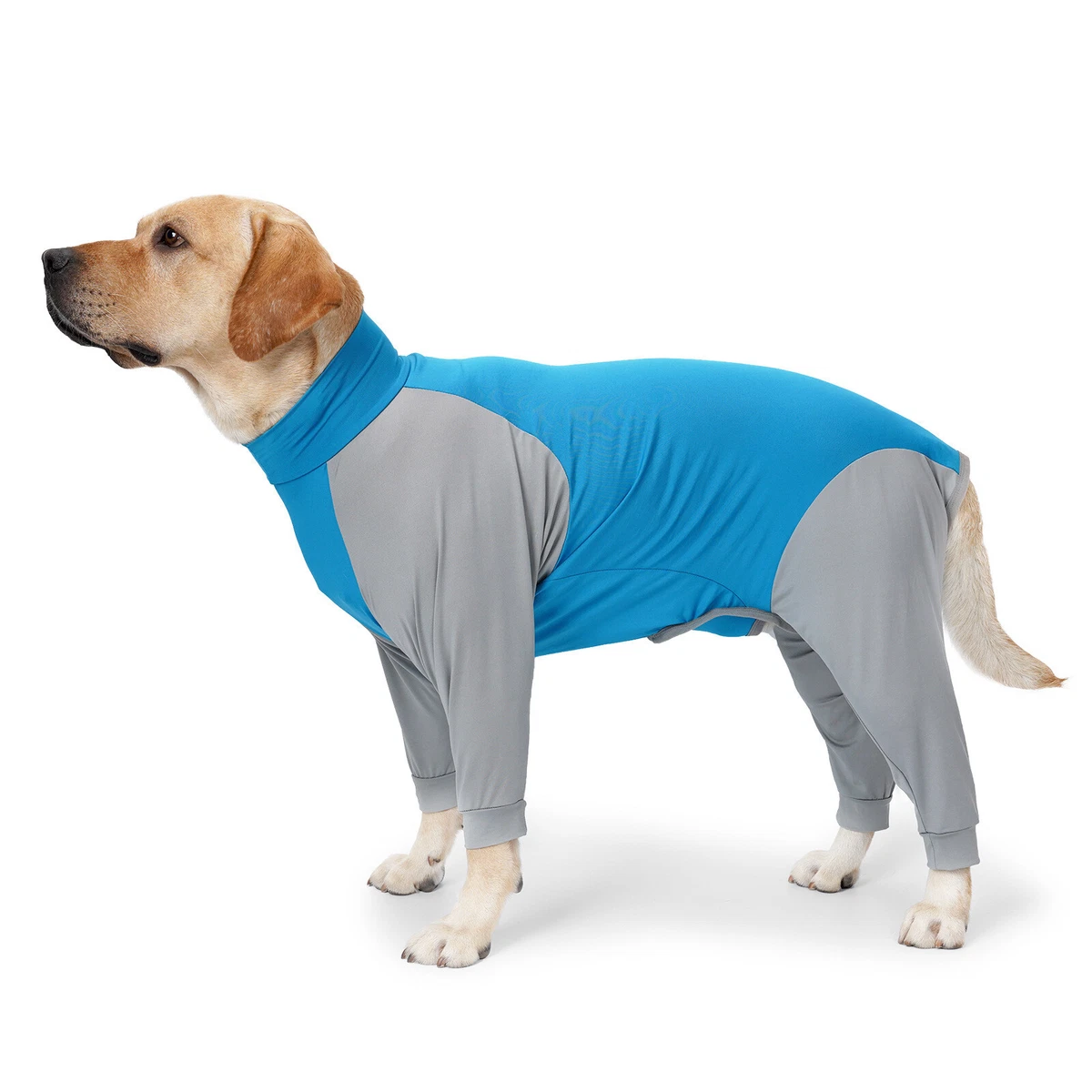 Dog suit top after surgery