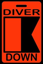 Hi-Viz Orange Personalized "Diver Down" Alpha Flag Luggage/Gear Bag Tag