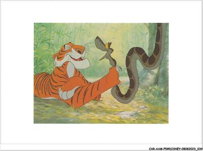 CAR-AAMP5-DISNEY-0425 - Le Livre de la Jungle - I'd like a word with you said