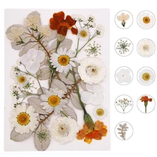 Pressed Dried Flowers for Resin, Real Natural Bulk Assorted Dry Leaves Floral...