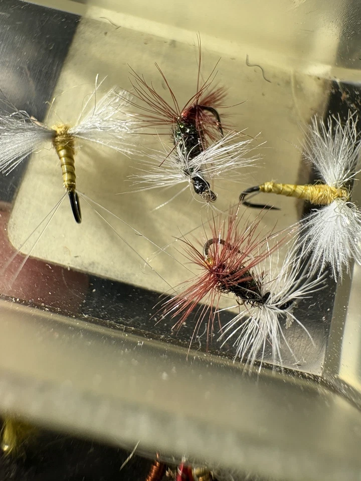 45 moscas pequeñas con caja Myran Fly Foto 3 de 4