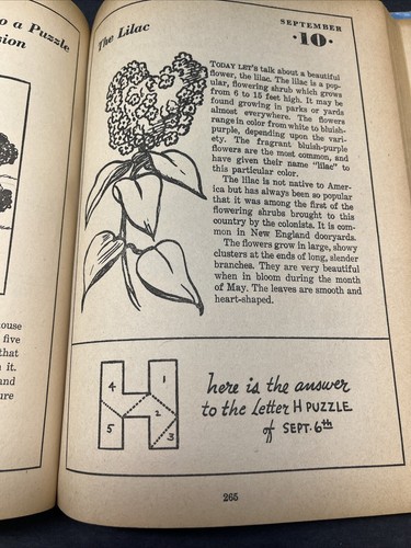 Busy Days 365 Ideas for everyday of year, 1939 hardcover Games,puzzles,Drawings - Picture 13 of 16