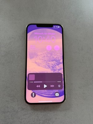 iPhone 12 Pro Max 512Gb