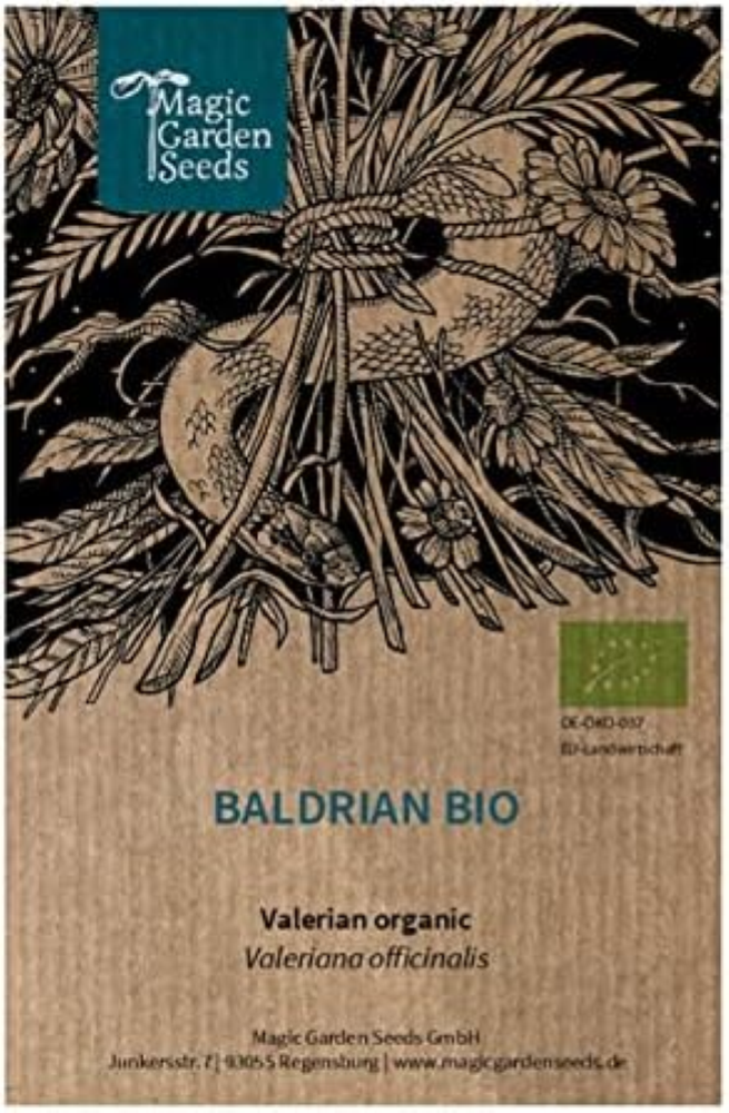 Valeriana comune (Valeriana officinalis) biologica - circa 290 semi