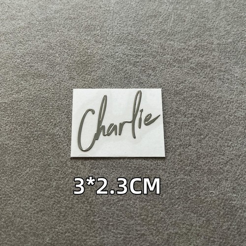 Light and Night Charlie Series Silver Decal Decorate Poster Hollow Out Collect - Picture 6 of 12