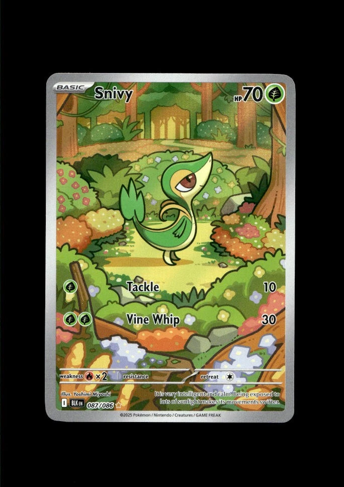 Snivy Pokémon TCG Cards for sale | eBay