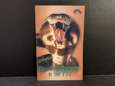 1/32 Zotz decals Bell P-39 Airacobras in the PTO #ZTZ32/016