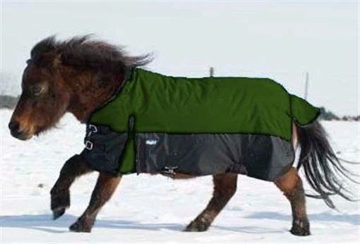 Couverture De Tour Externe (Turnout) Centaur Pour Poulain/mini/chien - 1200D, Verte, Imperméable - Échantillon Neuf