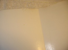 dragons lair sega cd cib