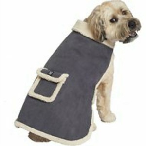 petrageous dog coat
