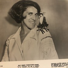 It’s Tough To Be A Bird 8x10 Vintage Publicity Photo