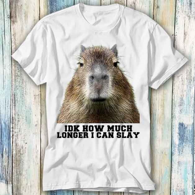 Idk How Much Longer I Can Dank Capybara T Shirt Meme Gift Top Tee