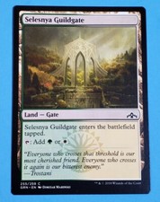1x Selesnya Guildgate Guilds Of Ravnica 2018 MTG Magic Card Land Trostani 255