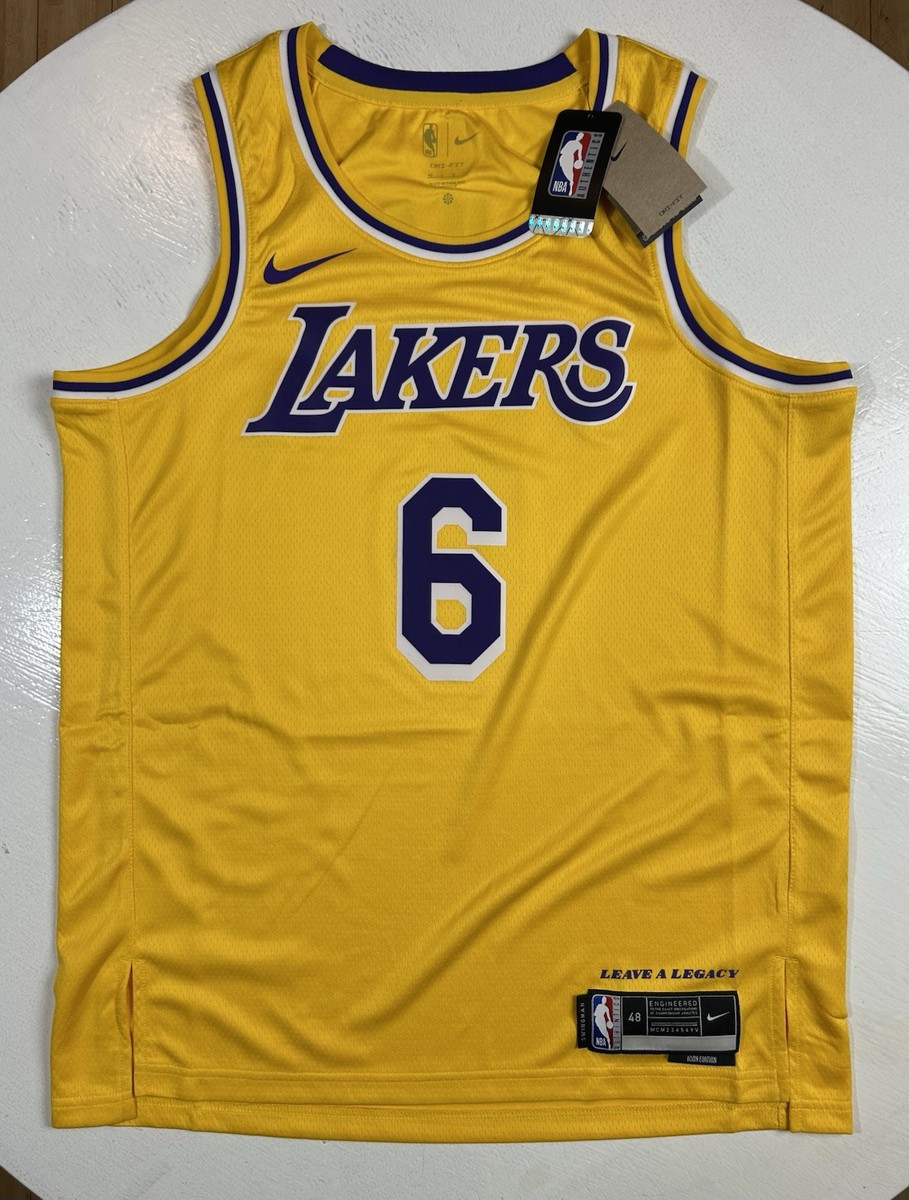 Nike Los Angeles Lakers Lebron James NBA Swingman Icon Edition