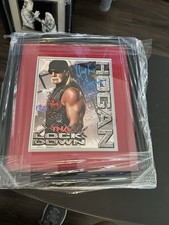 Hulk Hogan Cards and Memorabilia Guide 38