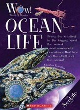 Ocean Life! (World of Wonder) by Franklin, Carolyn