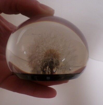  Lucite Dandelion Paperweight Large Tarax Infinity Round Made In Canada Dome VTG