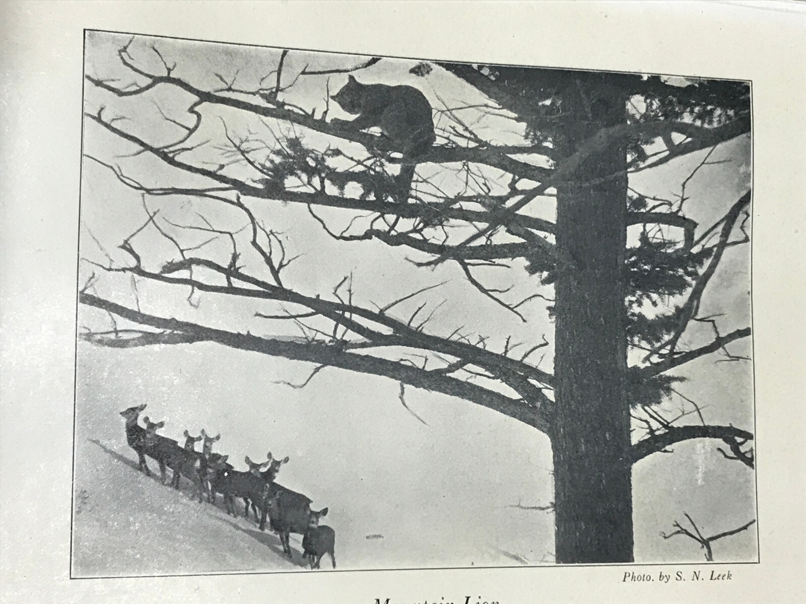 Picture 7 of 8