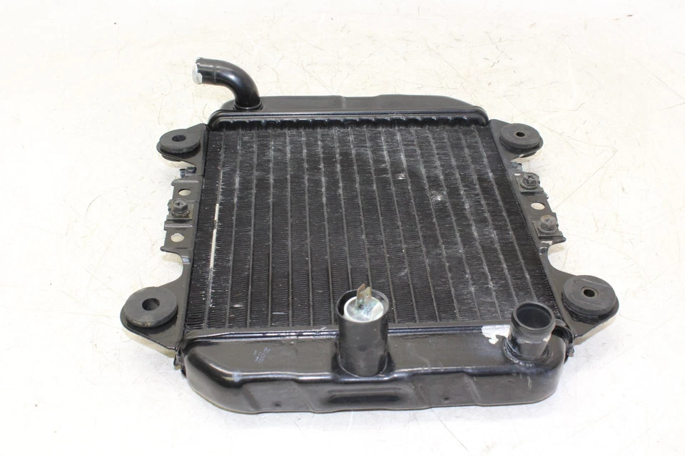 2006 Kawasaki Ninja 250r Ex250f Engine Radiator Motor Cooler Cooling Radiater Foto 2 de 4