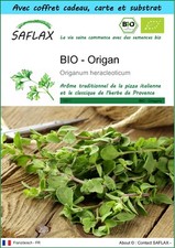SAFLAX Kit cadeau - BIO - Origan - 1500 graines - Origanum